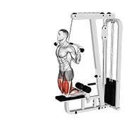 Cable assisted inverse leg curl demonstration