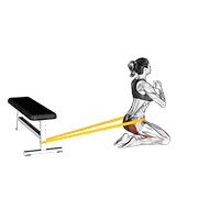 Resistance band hip thrusts on knees (female) demonstration