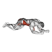 Kneeling plank tap shoulder demonstration