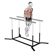 Elbow dips demonstration