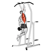 Weighted one hand pull up demonstration