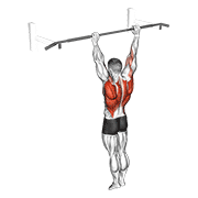 Archer pull up demonstration