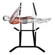 Front lever reps demonstration