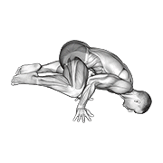 Frog planche demonstration