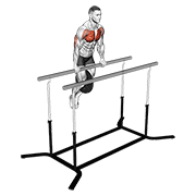 Weighted straight bar dip demonstration
