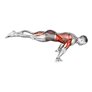 Full planche push-up demonstration