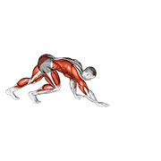 Bear crawl demonstration
