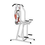 L-pull-up demonstration