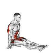 V-sit on floor demonstration
