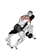 Dumbbell incline y-raise demonstration