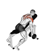 Dumbbell incline t-raise demonstration