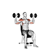 Dumbbell seated alternate shoulder demonstration