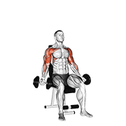 Dumbbell seated biceps curl to shoulder press demonstration