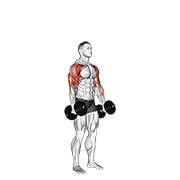Dumbbell standing alternate hammer curl and press demonstration