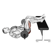 Barbell glute bridge two legs on bench demonstration