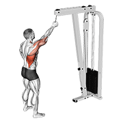 Cable one arm pulldown demonstration