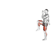 Walking high knees lunge demonstration