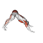Pike-to-cobra push-up demonstration
