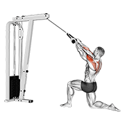 Cable kneeling rear delt row (with rope) demonstration