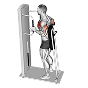 Lever standing chest press demonstration