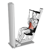 Lever seated crunch v. 2 demonstration
